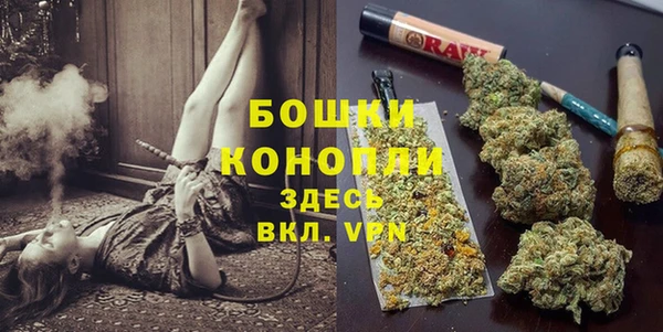 прущие грибы Покров