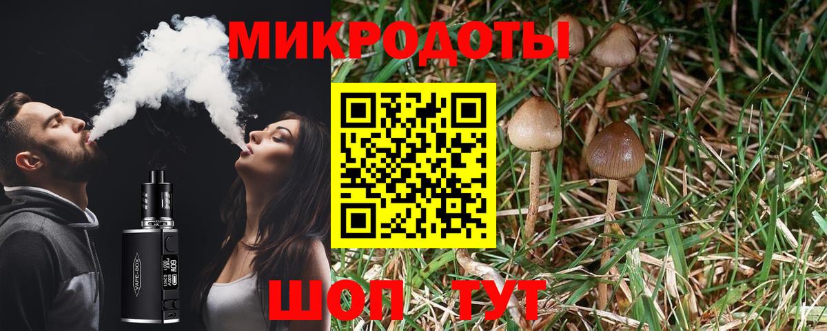 Псилоцибиновые грибы Psilocybe  Коркино 